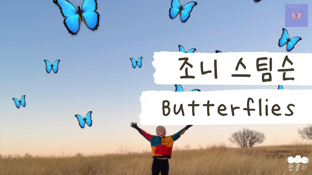 우리는 나비가 될 거야 🦋 [가사 번역] 조니 스팀슨 (Johnny Stimson) Butterflies YouTube