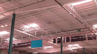 Famous SDI   JC Penney Trolley Less System Wealth