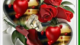 ايهاب توفيق حلو يالى ماشى