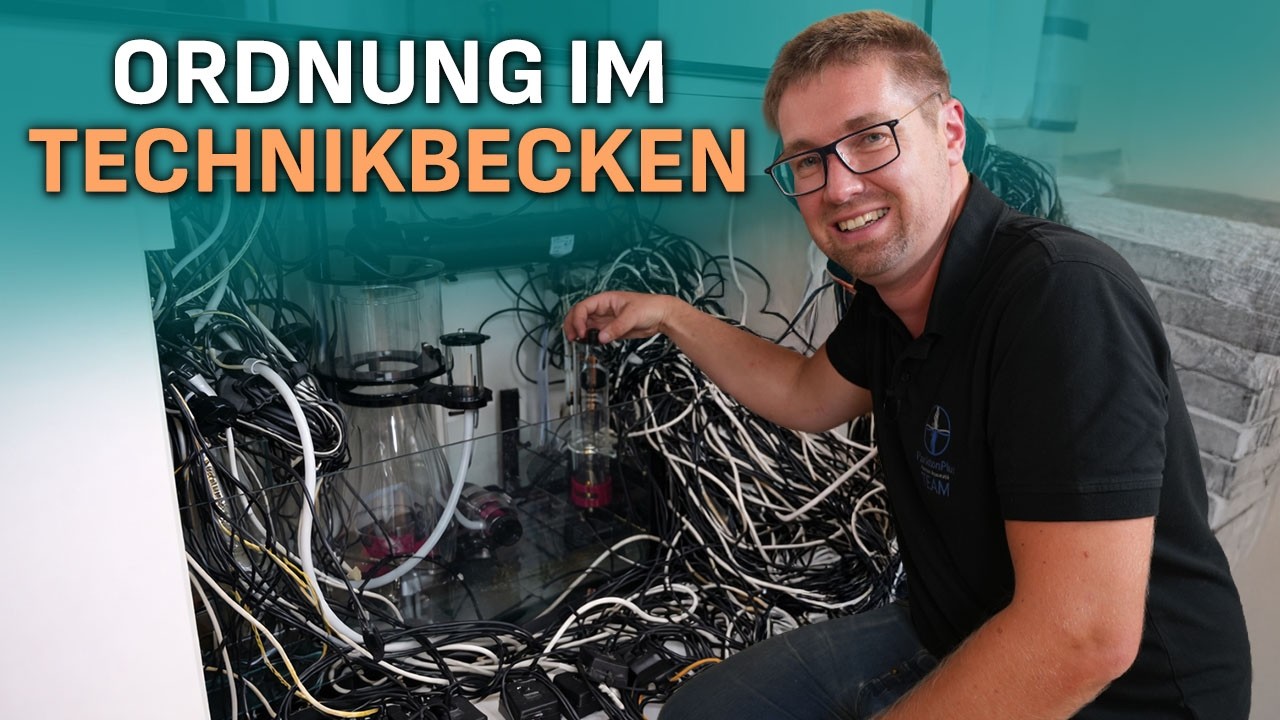 Ordnung für dein Technikbecken! - PlanktonPlus Aquaristik