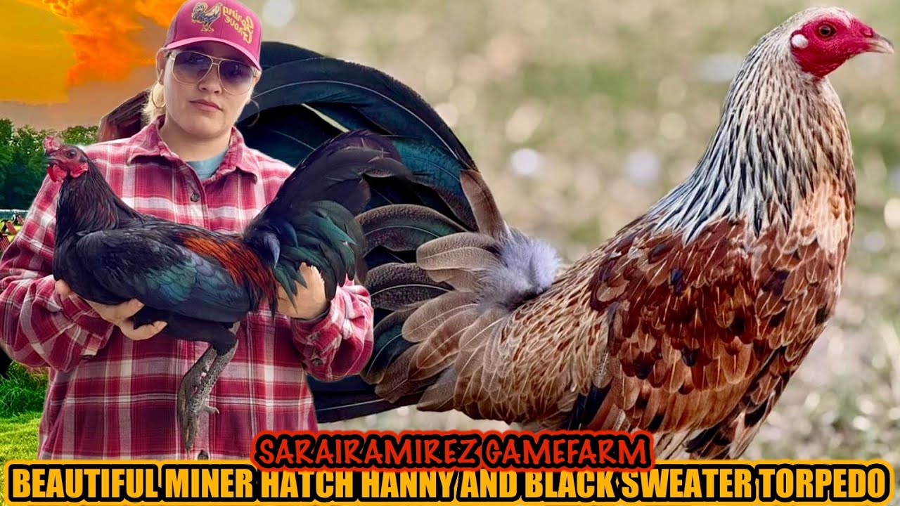 Beutiful Miner Hatch Hanny And Black Sweater Torpedo ~ SARAIRAMIREZ GAMEFARM