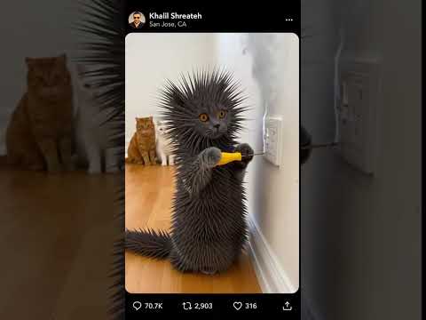 لطشتو الكهربا 