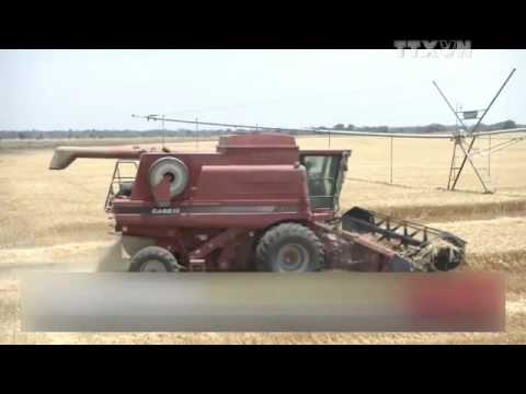 Video TRUNG QUOC O AT MUA DAT NONG NGHIEP TAI CAC NUOC GIAU... - youtube
