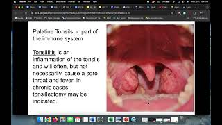 Unit 11 Obj 1 A& P Digestive Sys Pt 1