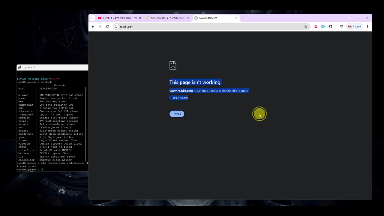 supreme ddos attacks