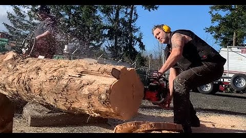 Ported Echo cs 7310 vs Ported Husky 572 vs ported Stihl 462, who wins .