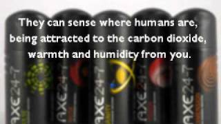 Mosquito Repellents: Do You Know the Truth?