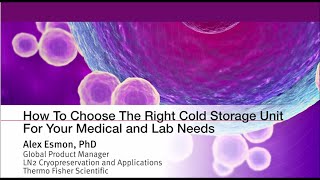 Selecting the Right Cold Storage for Your Cell Culture Workflow