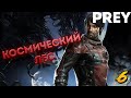 ДЕНДРАРИЙ ✖ ПРОХОЖДЕНИЕ PREY