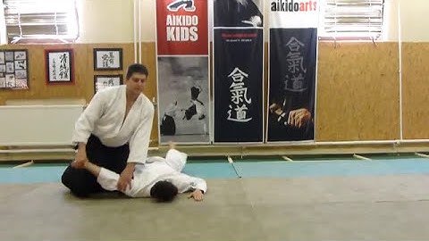 gyakuhanmi katatedori ikkyo omote [TUTORIAL] Aikido basic technique