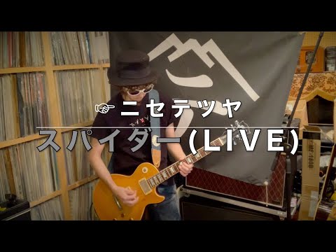 【弾いてみた】スパイダー(Live)【ニセ テツヤ】