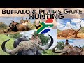 Hunt Buffalo and Plains Game in South Africa with Mabula Pro Safaris and African Sun Productions