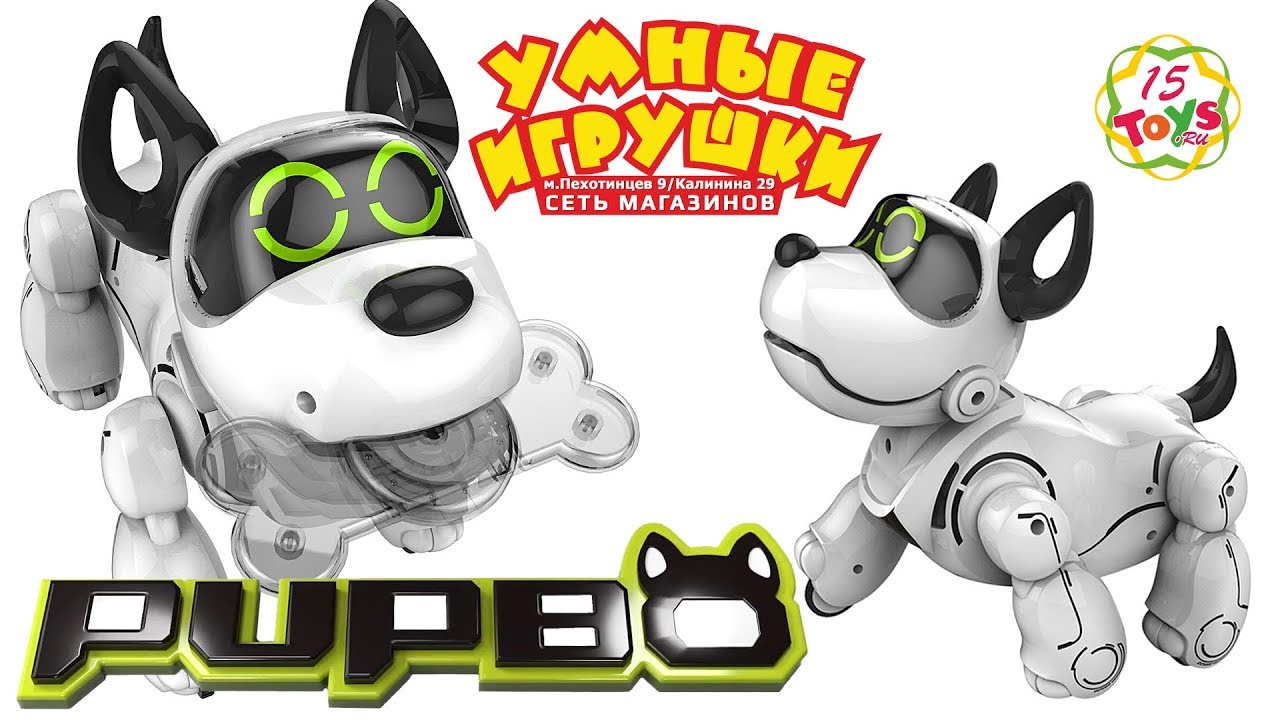 15 toys. Робот собака игрушка PUPBO. PUPBO собака робот инструкция. Робот собака мой питомец Билли. Собака робот кари.
