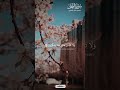 واصبر وما صبرك إلا بالله سورة النحل الحصري 