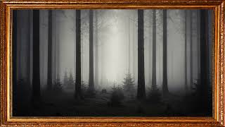 4K Luxury Frame TV Art | Minimal Dark Fog Forest 🌫️ Atmospheric Nature Ambience & Relaxing Music screenshot 4