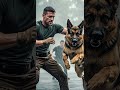 They Hunted a Pregnant Mother Until a Navi Seal and Dog Stood in Their Way