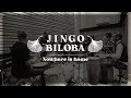 Jingo biloba  recording session  nowhere is home original play