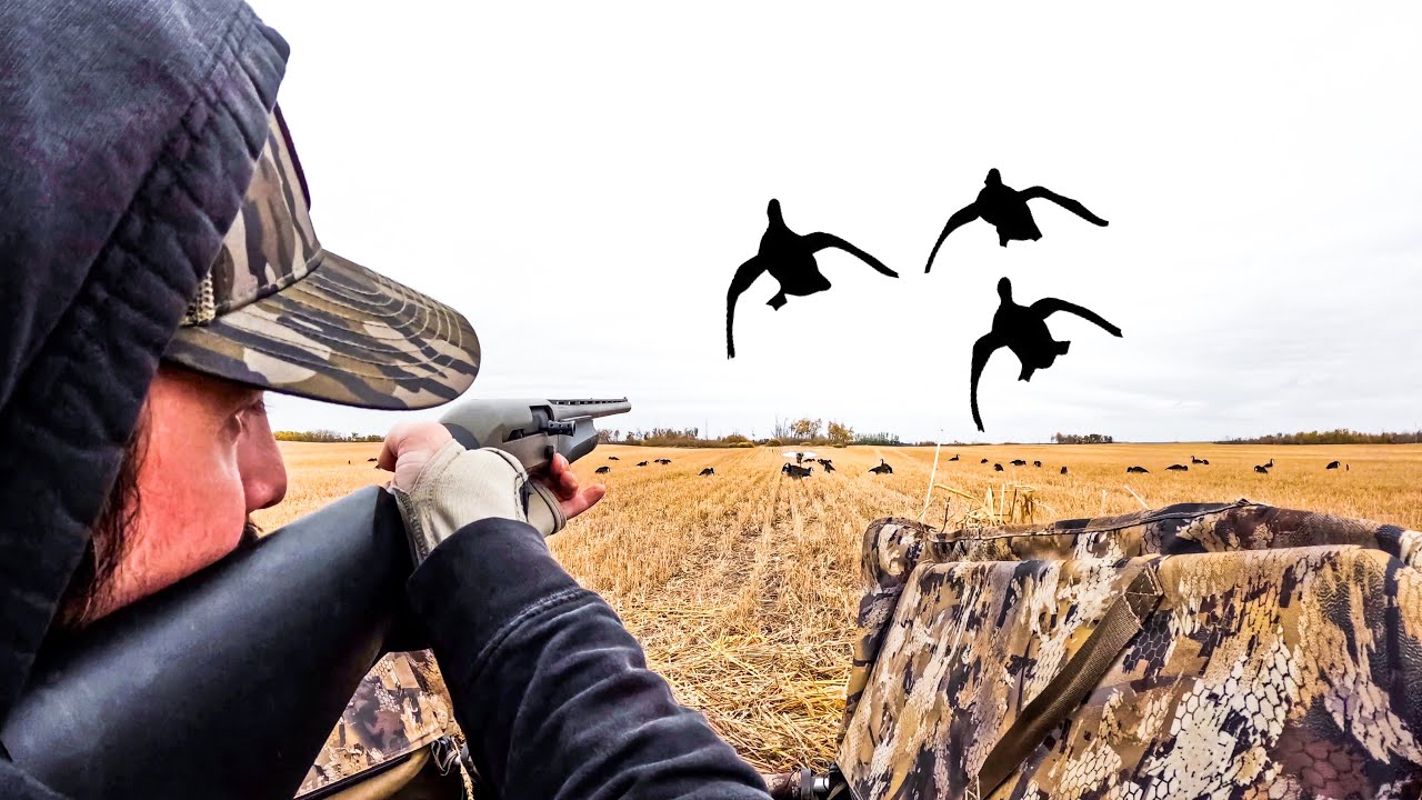 POV 20 GAUGE FIELD DUCK HUNTING CANADA!
