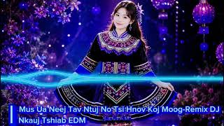 Mus Ua Neej Ntev Loo Tsi Hnov Koj Moog | Hmong Remix Music
