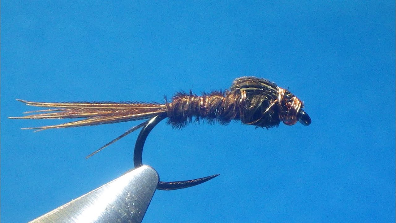 Pheasant Tail selon Franck SAWYER