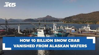 Preview: How 10 billion snow crab vanished from Alaskan waters