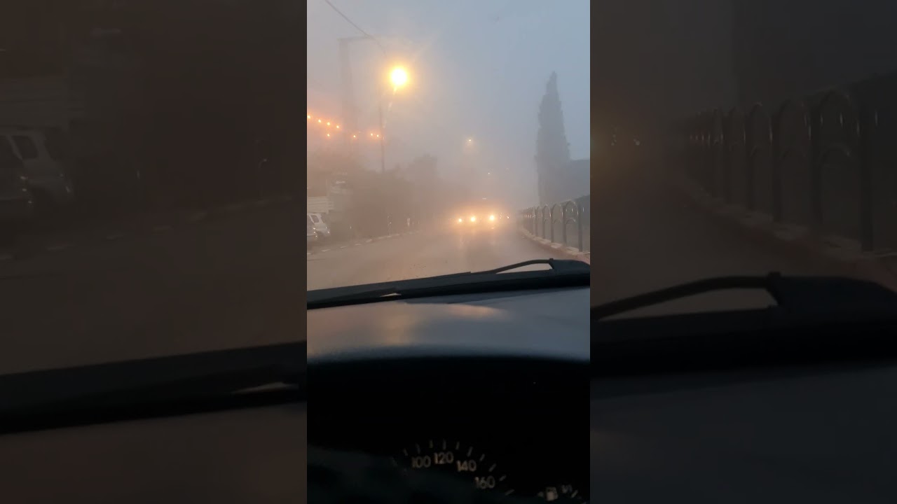 Израильские асссы  могут ездить даже в туман. Israeli asses can drive even in fog.