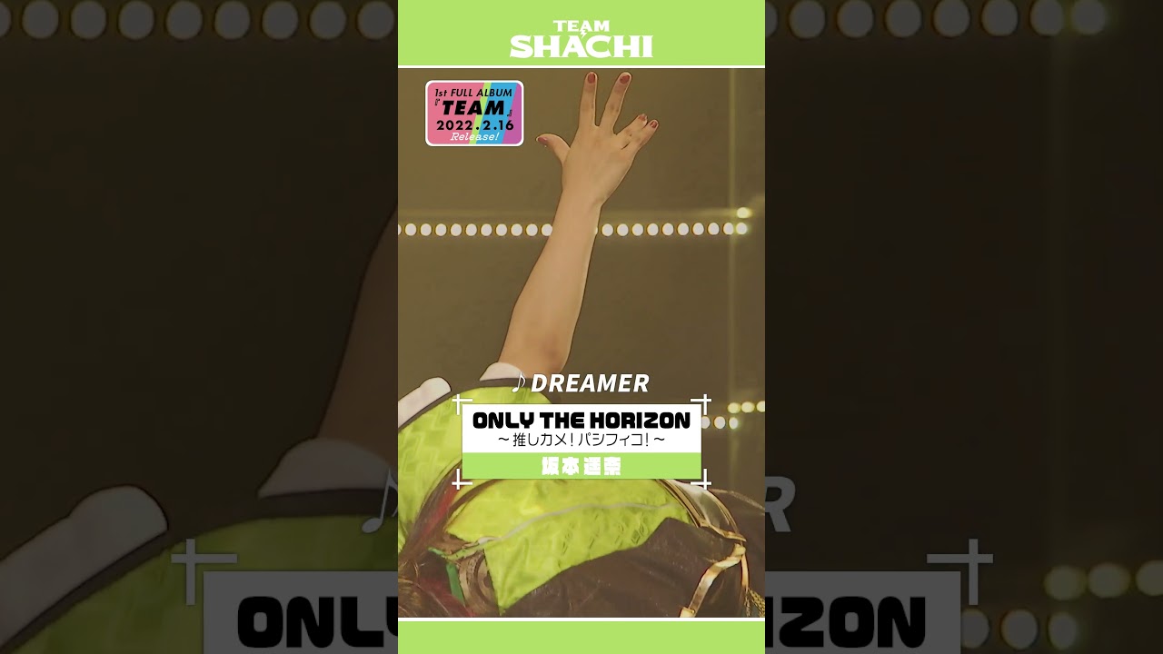 News Team Shachi オフィシャルサイト