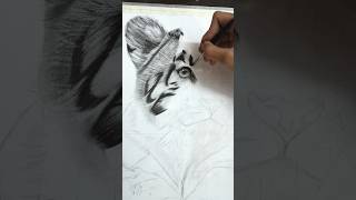 Realistic Tiger Drawing ✍️ (part-2)#shorts #youtubeshorts #youtube #drawing #tiger #artbyabhishek