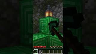 3 Hal Yang Belum Kalian Ketahui Rahasia Di Village shorts