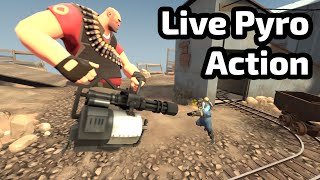 Pubbin Around | Live Archive