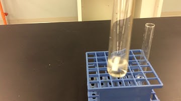 Single Displacement Rxn Lab Video