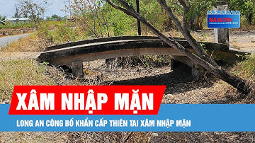 Long An công bố khẩn cấp thiên tai xâm nhập mặn