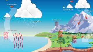 Hydrologic cycle-APES