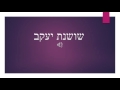 שושנת יעקב עתיק שושנת יעקב עתיק