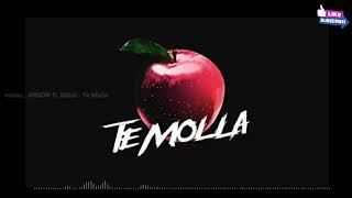 Te Molla | Glerr Buat Cek sound | ARNON ft. Killua - Te Molla
