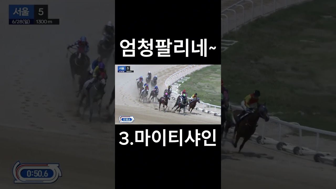 엄청팔리네    #경마  #경마예상  #경마방송  #경마예상방송  #서울경마  #금요경마  #토요경마  #일요경마 #경마장
