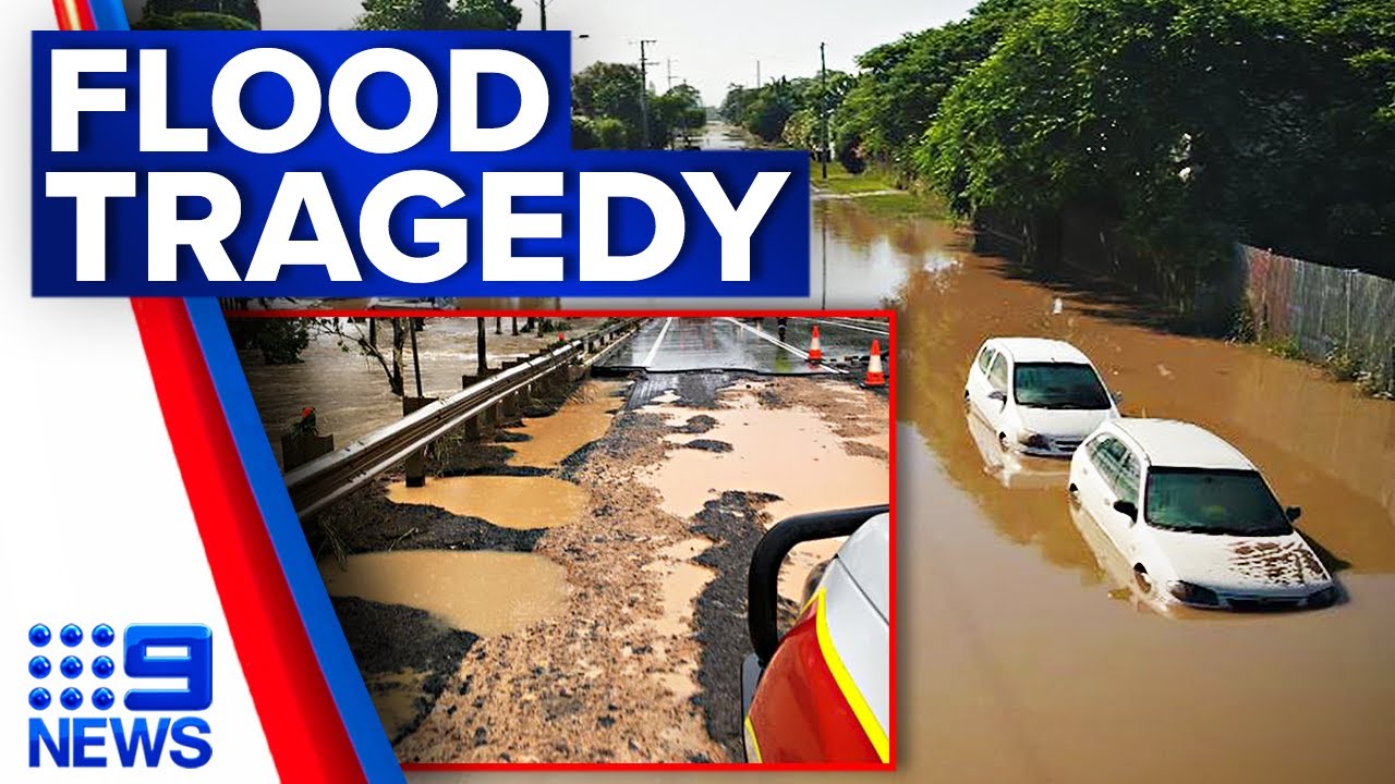 Second life claimed in Queensland floodwaters | 9 News Australia - YouTube