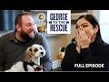Emotional love story  home renovation honoring resilient soulmates   george to the rescue