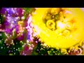 Jalapeño Onion Dance ✨ Music Video