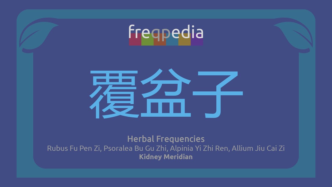 urinary system restorative Fu Pen Zi, Bu Gu Zhi, Yi Zhi Ren, Jiu Cai Zi