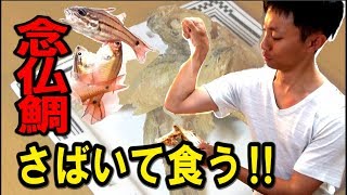 ネンブツダイ食べてみた。