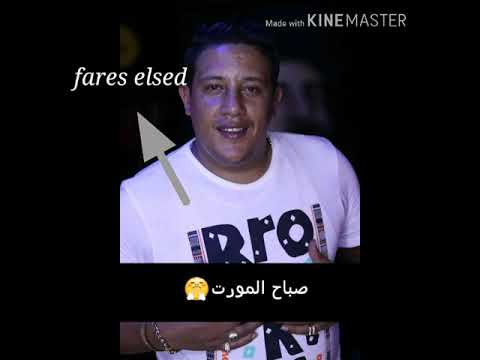 حاله واتس حمو بيكا يا وردة يافله جامده من مهرجان حريم زينه