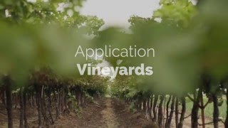 Vineyard Fertiliser Spreading Video