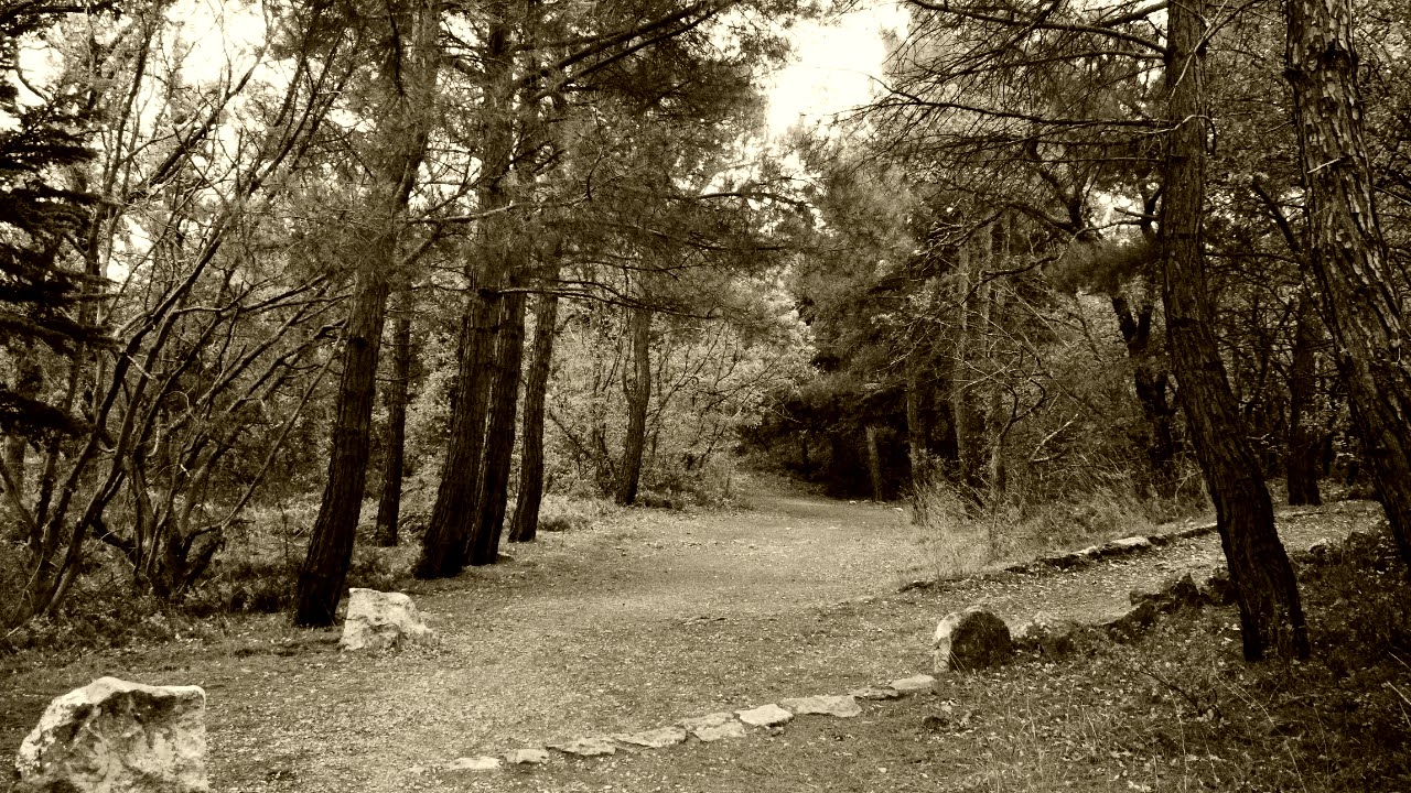 #15 Sad Piano - Tonality Circle - F Minor - Alexander Chekmarev