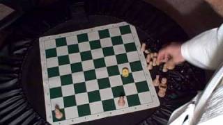 Chess960 setup long