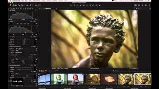 Capture One Pro 8 Webinar | Essential Image Adjustments