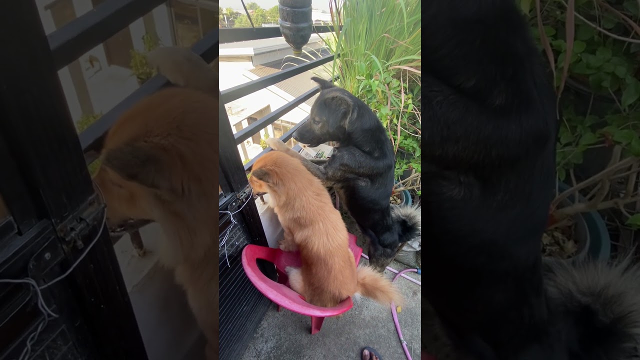 Socialy Awareness 🤣😥😂