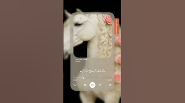 سورة غافر ♥️🌺 #قرآن_كريم #ارح_قلبك #اكسبلور #دويتو #تلاوة_خاشعة #تيك_توك #ترند