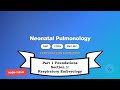 Neonatal Nursing Certification Review: Section 1 – Respiratory Embryology