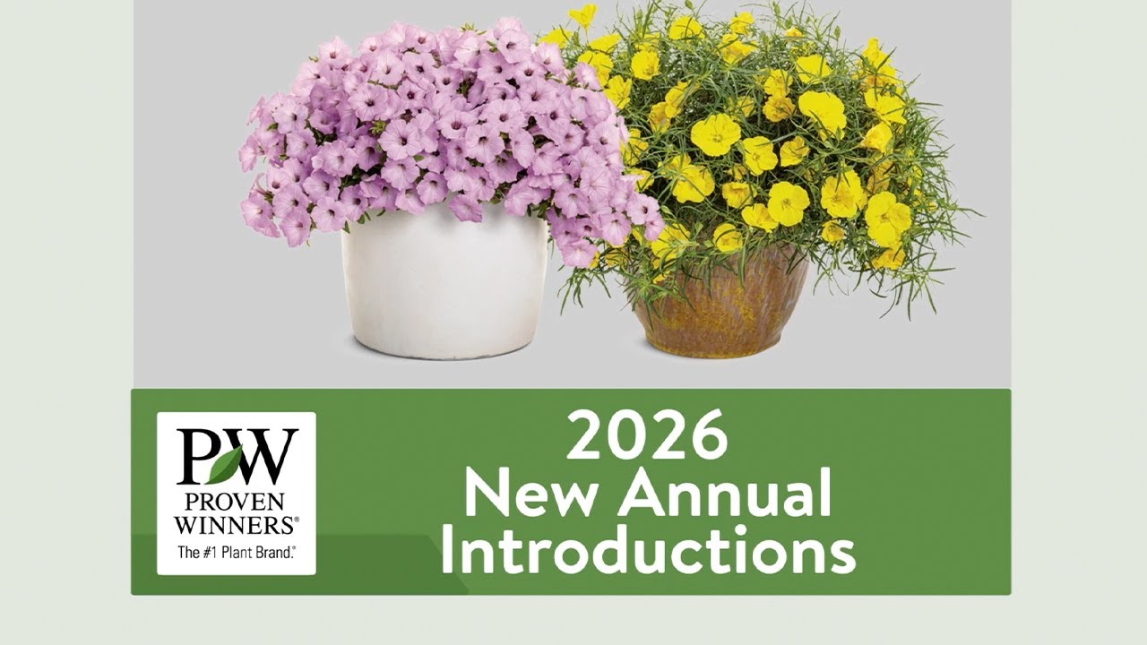 Meet Proven Winners' New 2026 Annuals